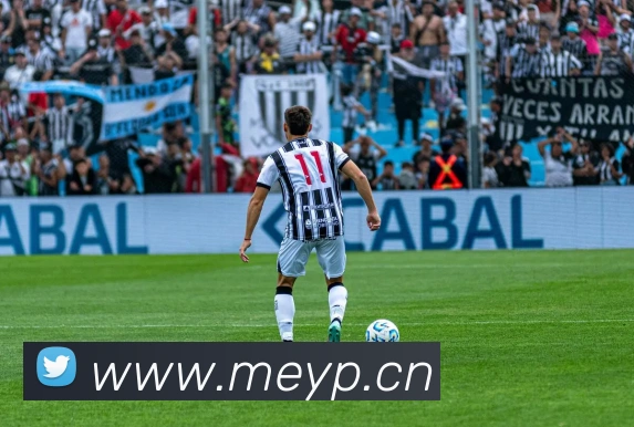 开云app官方入口网页版平台生态图