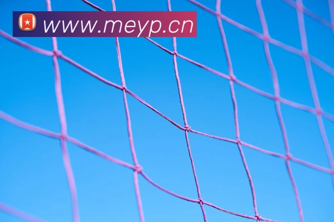 开云app官方入口网页版APP 封面图